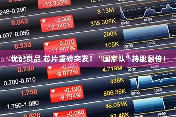 优配良品 芯片重磅突发！“国家队”持股翻倍！