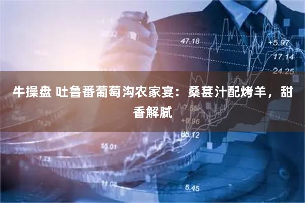 牛操盘 吐鲁番葡萄沟农家宴：桑葚汁配烤羊，甜香解腻